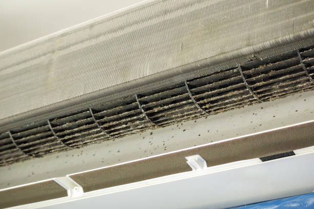 Best Air Duct Cleaning Near Me  in Blytheville, AR